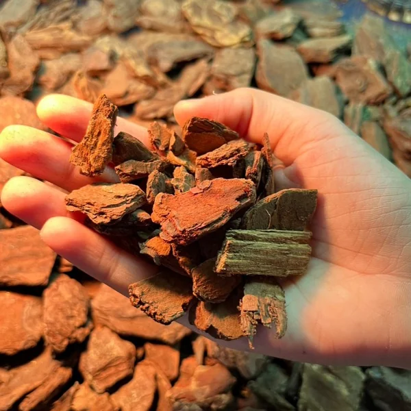 Pine Bark เปลือกสน เปลือกไม้ธรรมชาติ เกรดพรีเมี่ยม รองพื้นเต่า กิ้งก่า สัตว์เลื้อยคลาน image 2 Pine Bark เปลือกสน เปลือกไม้ธรรมชาติ เกรดพรีเมี่ยม รองพื้นเต่า กิ้งก่า สัตว์เลื้อยคลาน image 2