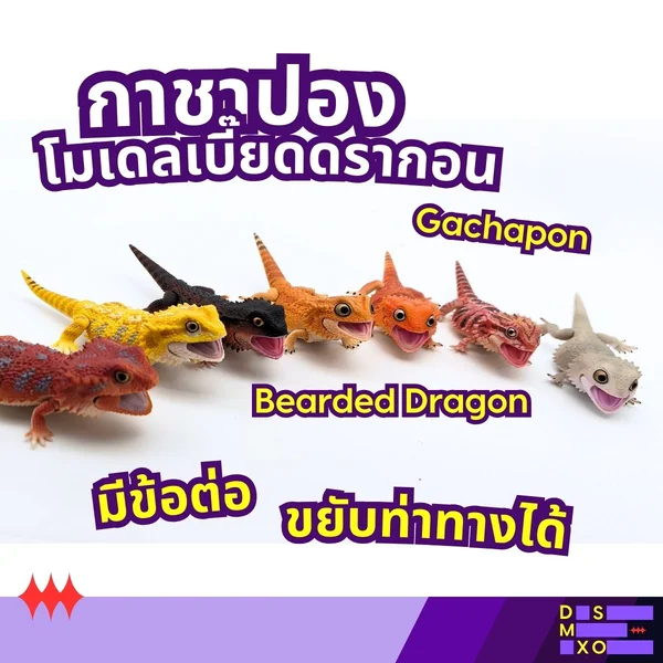 Bearded Dragon Model Gachapon กาชาปอง โมเดลเบี๊ยดดรากอน ของเล่น มีข้อต่อ ขยับท่าทางได้ image 1