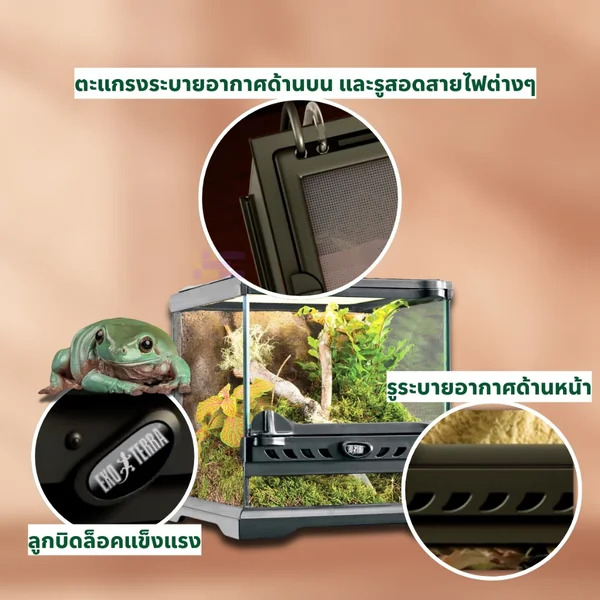 EXO TERRA Terrarium Nano Wide (20×20×20cm) ตู้เลี้ยงสัตว์ แบรนด์นำเข้า Natural image 2 EXO TERRA Terrarium Nano Wide (20×20×20cm) ตู้เลี้ยงสัตว์ แบรนด์นำเข้า Natural image 2