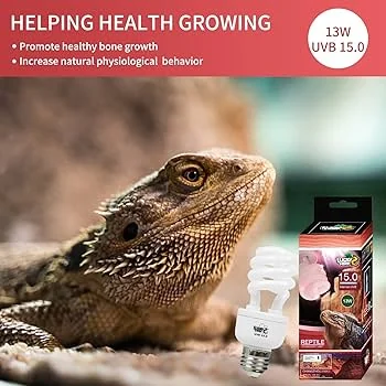 Lucky Herp UVB 15.0 หลอดไฟสำหรับสัตว์เลื้อยคลานทะเลทราย กิ้งก่า เต่า เบียดดราก้อน UVB สูง ขั้ว E27 พร้อมส่ง โดยออกแบบมาให้ปล่อยรังสี UVB สูงถึง 15% image 1 Lucky Herp UVB 15.0 หลอดไฟสำหรับสัตว์เลื้อยคลานทะเลทราย กิ้งก่า เต่า เบียดดราก้อน UVB สูง ขั้ว E27 พร้อมส่ง โดยออกแบบมาให้ปล่อยรังสี UVB สูงถึง 15% image 1