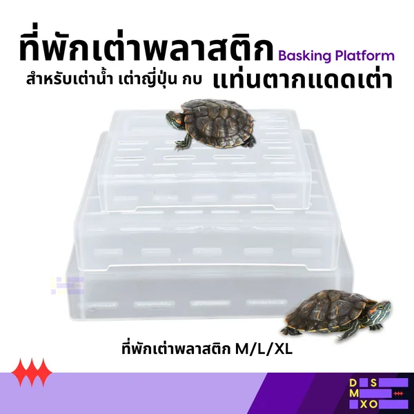 Basking Platform ที่พักเต่าพลาสติก อุปกรณ์สำหรับเลี้ยงเต่า แท่นตากแดด สำหรับเต่าน้ำ กบ image 1 Basking Platform ที่พักเต่าพลาสติก อุปกรณ์สำหรับเลี้ยงเต่า แท่นตากแดด สำหรับเต่าน้ำ กบ image 1